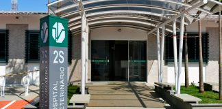 Suspenso Atendimento a Animais Vítimas de Maus-Tratos e Atropelamento pelo HV Suspenso Atendimento a Animais Vítimas de Maus-Tratos e Atropelamento pelo HV