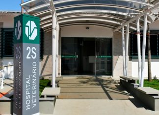 Suspenso Atendimento a Animais Vítimas de Maus-Tratos e Atropelamento pelo HV Suspenso Atendimento a Animais Vítimas de Maus-Tratos e Atropelamento pelo HV