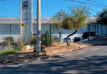 Uberlândia e Araguari: Cidades com Altos Índices de Assassinatos em Minas, Apesar da Queda Geral Gráfico mostrando homicídios em Uberlândia e Araguari em 2025