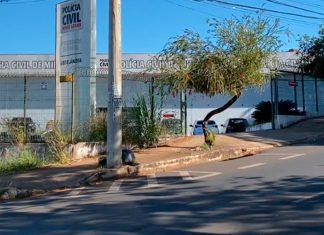 Uberlândia e Araguari: Cidades com Altos Índices de Assassinatos em Minas, Apesar da Queda Geral Gráfico mostrando homicídios em Uberlândia e Araguari em 2025