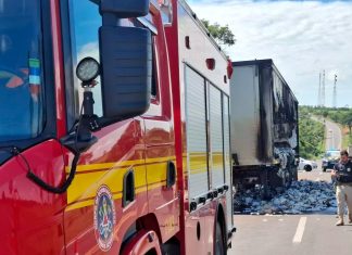 Incêndio Destrói Carreta Carregada com Cerveja na BR-153, Próximo ao Prata Carreta de cerveja destruída por incêndio na BR-153