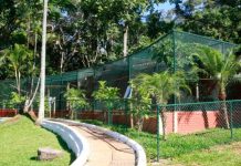 Zoológico de Uberlândia Transforma-se em Parque de Educação Ambiental Transformação do zoológico de Uberlândia em Parque de Educação Ambiental