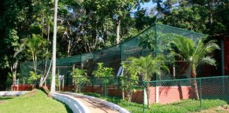 Zoológico de Uberlândia Transforma-se em Parque de Educação Ambiental Transformação do zoológico de Uberlândia em Parque de Educação Ambiental