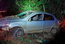 Acidente em Patos de Minas: Atropelamento de três capivaras acende alerta sobre fauna urbana Carro acidentado fora da pista na BR-352 em Patos de Minas após atropelamento de animais