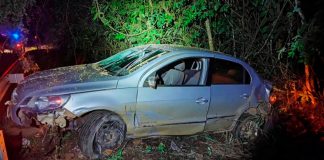 Acidente em Patos de Minas: Atropelamento de três capivaras acende alerta sobre fauna urbana Carro acidentado fora da pista na BR-352 em Patos de Minas após atropelamento de animais