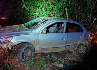 Acidente em Patos de Minas: Atropelamento de três capivaras acende alerta sobre fauna urbana Carro acidentado fora da pista na BR-352 em Patos de Minas após atropelamento de animais