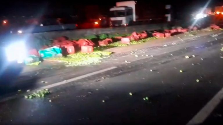Caminhão tombado na BR-050 após acidente