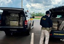 Polícia prende mulher com mais de 500 kg de maconha em direção a Uberaba Tabletes de maconha empilhados ao lado de viatura da PRF em Uberaba