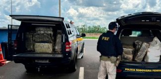 Polícia prende mulher com mais de 500 kg de maconha em direção a Uberaba Tabletes de maconha empilhados ao lado de viatura da PRF em Uberaba