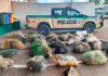 Operação Piracema: PM apreende 12 km de redes de pesca ilegais no Pontal do Triângulo Grande quantidade de redes de pesca de nylon amontoadas e apreendidas pela Polícia Militar de Meio Ambiente