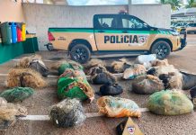 Operação Piracema: PM apreende 12 km de redes de pesca ilegais no Pontal do Triângulo Grande quantidade de redes de pesca de nylon amontoadas e apreendidas pela Polícia Militar de Meio Ambiente