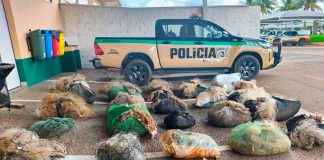 Operação Piracema: PM apreende 12 km de redes de pesca ilegais no Pontal do Triângulo Grande quantidade de redes de pesca de nylon amontoadas e apreendidas pela Polícia Militar de Meio Ambiente