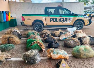Operação Piracema: PM apreende 12 km de redes de pesca ilegais no Pontal do Triângulo Grande quantidade de redes de pesca de nylon amontoadas e apreendidas pela Polícia Militar de Meio Ambiente