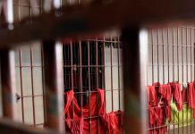 Violência no Presídio Professor Jacy de Assis: detento é morto em confronto durante banho de sol Detentos no pátio do Presídio Professor Jacy de Assis durante banho de sol