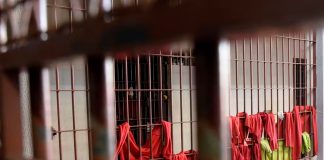 Violência no Presídio Professor Jacy de Assis: detento é morto em confronto durante banho de sol Detentos no pátio do Presídio Professor Jacy de Assis durante banho de sol