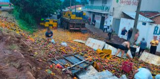 Caminhão tomba em Uberaba, derrubando 24 toneladas de manga Caminhão tombado com 24 toneladas de manga em Uberaba