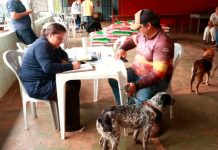 Castramóvel Começa Atendimentos em Martinésia: Entenda o Serviço Castramóvel realizando atendimentos em Martinésia