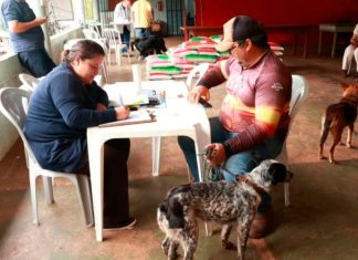 Castramóvel Começa Atendimentos em Martinésia: Entenda o Serviço Castramóvel realizando atendimentos em Martinésia