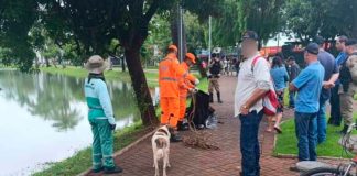 Tragédia em Patos de Minas: Corpo de homem é descoberto na Lagoa Grande Corpo de homem encontrado na Lagoa Grande em Patos de Minas