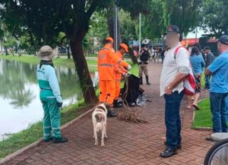 Tragédia em Patos de Minas: Corpo de homem é descoberto na Lagoa Grande Corpo de homem encontrado na Lagoa Grande em Patos de Minas