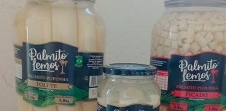 Risco à saúde: Anvisa proíbe venda e determina apreensão de marca de palmito Close em prateleira de supermercado com foco em potes de palmito em conserva e selo de fiscalização da Anvisa sobreposto