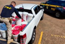PRF apreende 243 kg de agrotóxicos disfarçados de suplemento animal em Uberlândia Baldes de suplemento animal contendo agrotóxicos ilegais apreendidos pela PRF na BR-050 em Uberlândia