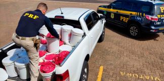 PRF apreende 243 kg de agrotóxicos disfarçados de suplemento animal em Uberlândia Baldes de suplemento animal contendo agrotóxicos ilegais apreendidos pela PRF na BR-050 em Uberlândia