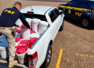 PRF apreende 243 kg de agrotóxicos disfarçados de suplemento animal em Uberlândia Baldes de suplemento animal contendo agrotóxicos ilegais apreendidos pela PRF na BR-050 em Uberlândia