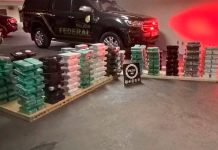 Justiça solta motorista preso com 400 kg de cocaína e aplica pena alternativa Tabletes de cocaína apreendidos pela Polícia Federal escondidos em carga de minério