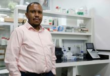 Cientistas da UFRJ e UFRGS recebem prêmios internacionais por avanços no diagnóstico de Alzheimer Pesquisador em laboratório analisando amostras para estudo sobre diagnóstico de Alzheimer.