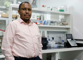 Cientistas da UFRJ e UFRGS recebem prêmios internacionais por avanços no diagnóstico de Alzheimer Pesquisador em laboratório analisando amostras para estudo sobre diagnóstico de Alzheimer.