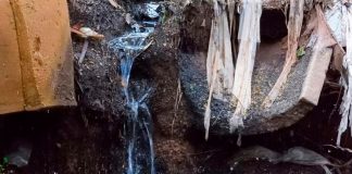 MP investiga esgoto em lagos do Parque do Sabiá após denúncia Vista aérea dos lagos e canais do Parque do Sabiá em Uberlândia com vegetação ao redor.