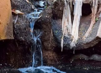 MP investiga esgoto em lagos do Parque do Sabiá após denúncia Vista aérea dos lagos e canais do Parque do Sabiá em Uberlândia com vegetação ao redor.