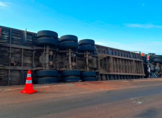 Caminhão de gado tomba e boi solto causa atropelamento em Uberaba Caminhão de transporte de gado tombado no acostamento da rodovia LMG-799 à noite, com luzes de viaturas de emergência ao fundo.