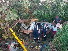 Acidente fatal em João Pinheiro deixa um morto e duas feridas na BR-365 Carro destruído após bater em árvore no canteiro da BR-365 em João Pinheiro.