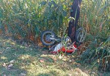 Homem de 32 anos perde a vida em acidente de moto na BR-040 Viagem da PRF e perícia técnica em local de acidente na BR-040 onde motociclista bateu em árvore.