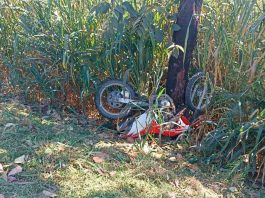 Homem de 32 anos perde a vida em acidente de moto na BR-040 Viagem da PRF e perícia técnica em local de acidente na BR-040 onde motociclista bateu em árvore.