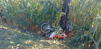 Homem de 32 anos perde a vida em acidente de moto na BR-040 Viagem da PRF e perícia técnica em local de acidente na BR-040 onde motociclista bateu em árvore.