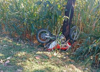Homem de 32 anos perde a vida em acidente de moto na BR-040 Viagem da PRF e perícia técnica em local de acidente na BR-040 onde motociclista bateu em árvore.