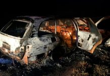 Carro pega fogo e fica destruído após atropelar anta na LMG-628 em Unaí Carro destruído pelo fogo na rodovia LMG-628 após atropelar uma anta.