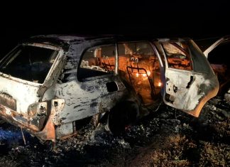 Carro pega fogo e fica destruído após atropelar anta na LMG-628 em Unaí Carro destruído pelo fogo na rodovia LMG-628 após atropelar uma anta.