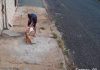 Câmera de Segurança Flagra Ataque de Pitbull sem Focinheira contra Vira-Lata na Rua Rafael Rinaldi Homem tenta conter cão Pitbull claro que ataca uma cadela vira-lata caramelo na calçada da Rua Rafael Rinaldi, no bairro Osvaldo Rezende