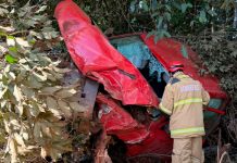 Motorista escapa ileso após carro despencar de ribanceira na MG-223 Caminhonete branca danificada após cair em ribanceira de sete metros cercada por árvores na MG-223