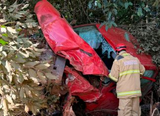 Motorista escapa ileso após carro despencar de ribanceira na MG-223 Caminhonete branca danificada após cair em ribanceira de sete metros cercada por árvores na MG-223