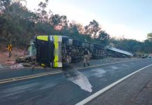Caminhoneira fica ferida após carreta de bananas tombar na MGC-462 em Patrocínio Carreta de bananas tombada à beira da rodovia MGC-462 com a cabine destruída.
