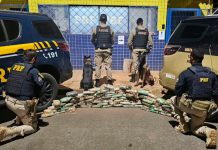 PRF e PM apreendem cocaína e crack escondidos dentro de pneus na BR-365 Tabletes de cocaína e crack retirados de dentro de um pneu de caminhão durante fiscalização policial
