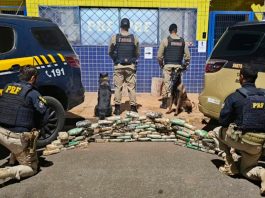 PRF e PM apreendem cocaína e crack escondidos dentro de pneus na BR-365 Tabletes de cocaína e crack retirados de dentro de um pneu de caminhão durante fiscalização policial