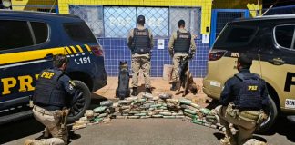 PRF e PM apreendem cocaína e crack escondidos dentro de pneus na BR-365 Tabletes de cocaína e crack retirados de dentro de um pneu de caminhão durante fiscalização policial