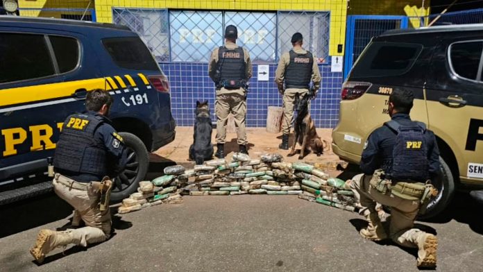 Tabletes de cocaína e crack retirados de dentro de um pneu de caminhão durante fiscalização policial