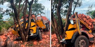 Caminhão de tijolos desvia de ambulância, bate em árvore e deixa dois feridos na BR-365 Caminhão carregado de tijolos danificado após colidir contra árvore na margem da rodovia BR-365.